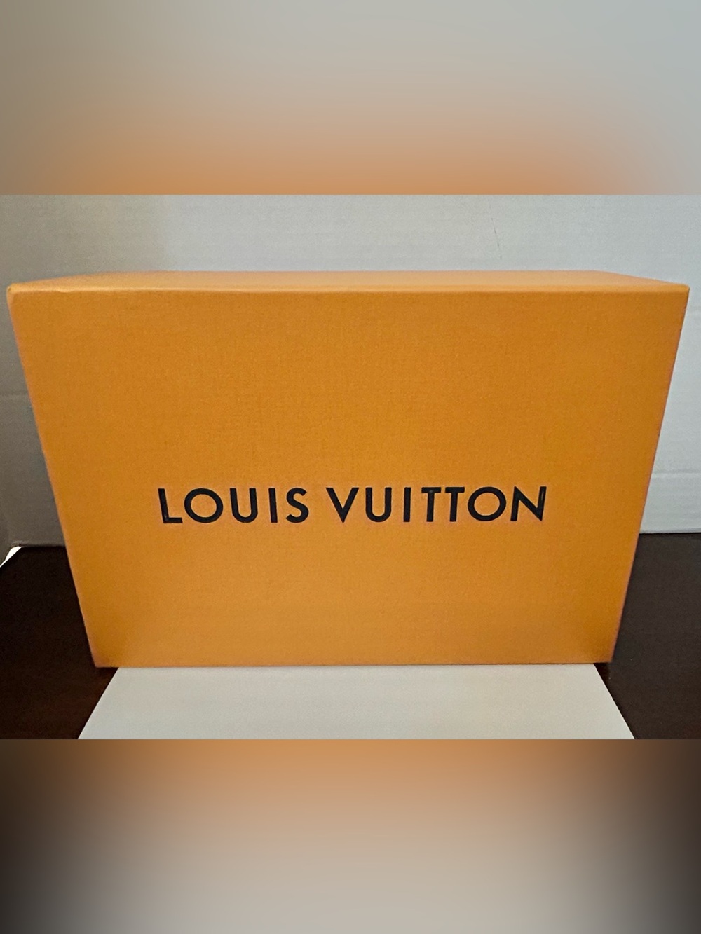 Louis Vuitton Empty Box
